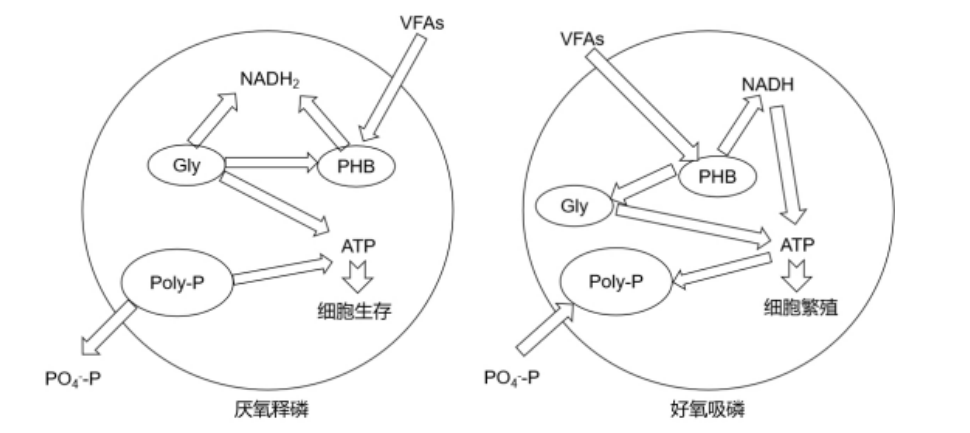 微信图片_20240517111507.png